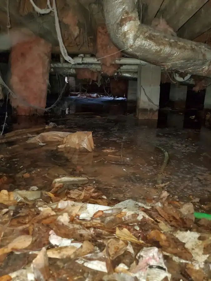 Crawl space flood assessment for Commercial Water Damage Restoration in Lauderdale-by-the-Sea